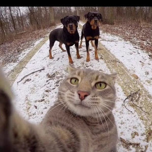 Meet your Posher, Lillian